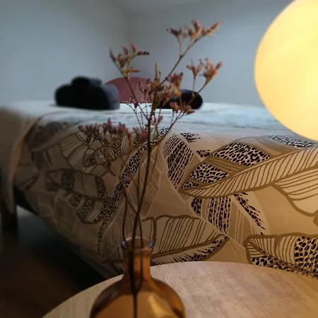 T2 Au Coeur D'angers